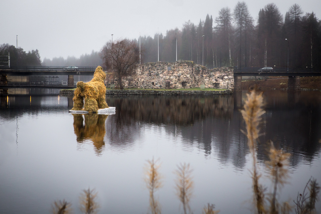 Kekripukki odottaa polttoa Kajaanin linnan raunioiden edustalla.