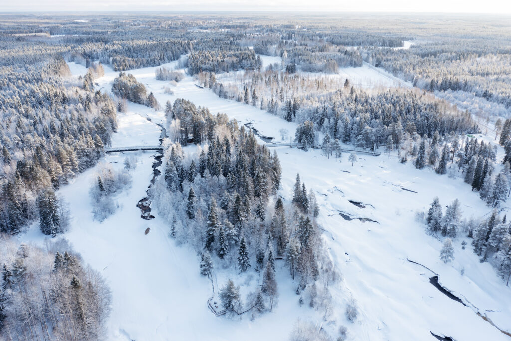 Aerial view of snowy forest and winding river.